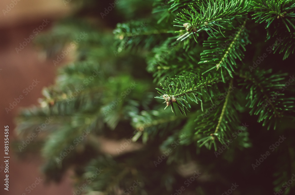 Christmas tree on the blurred background close up Christmas tree on the blurred background close up