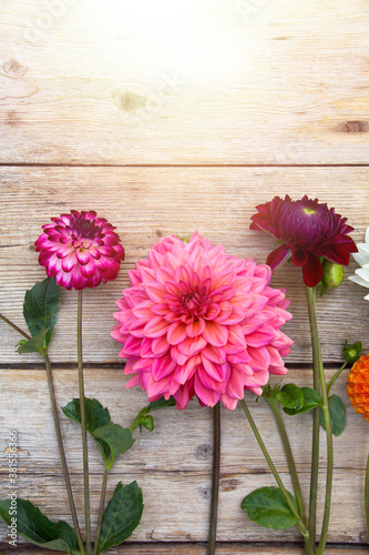 Dahlia flowers on wooden background - greeting card - Birthday, Mother's Day, season flowers