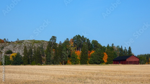 autumn landscape in the mountains