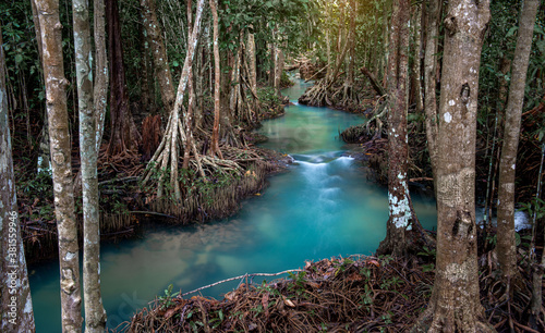 Canvas Print Clear and emerald waterway in the tropical forest.