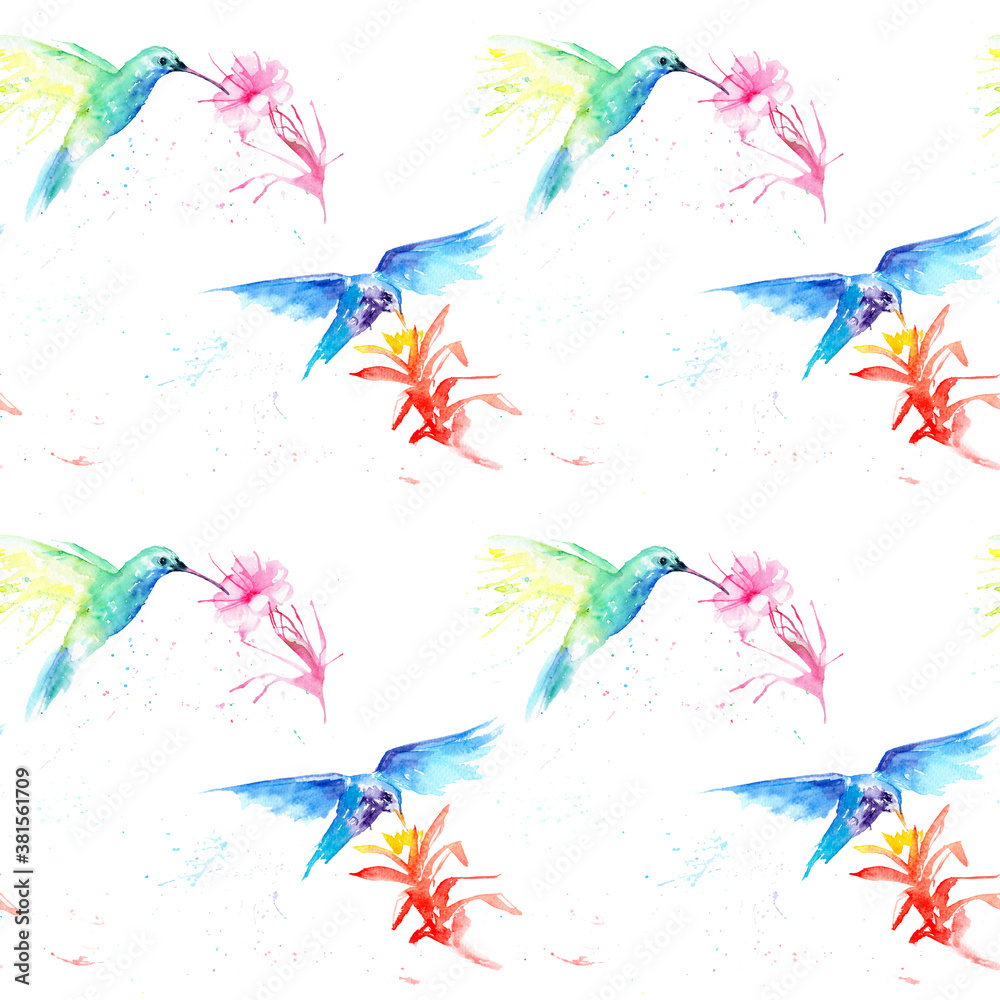 Fototapeta premium watercolor drawing of a bird - a hummingbirds seamless pattern