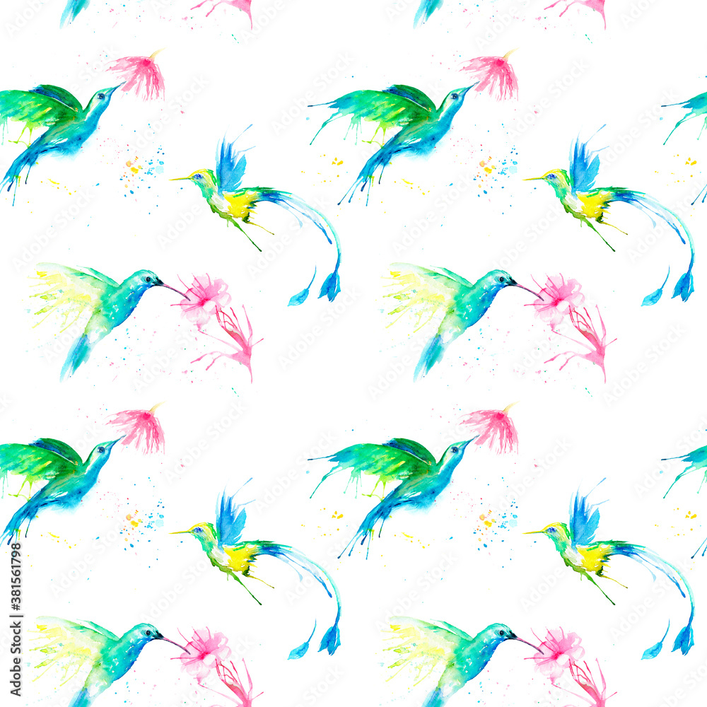 watercolor drawing of a bird - a hummingbirds seamless pattern