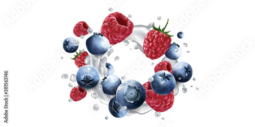 Blueberries and raspberries in splashes of yogurt or milk.