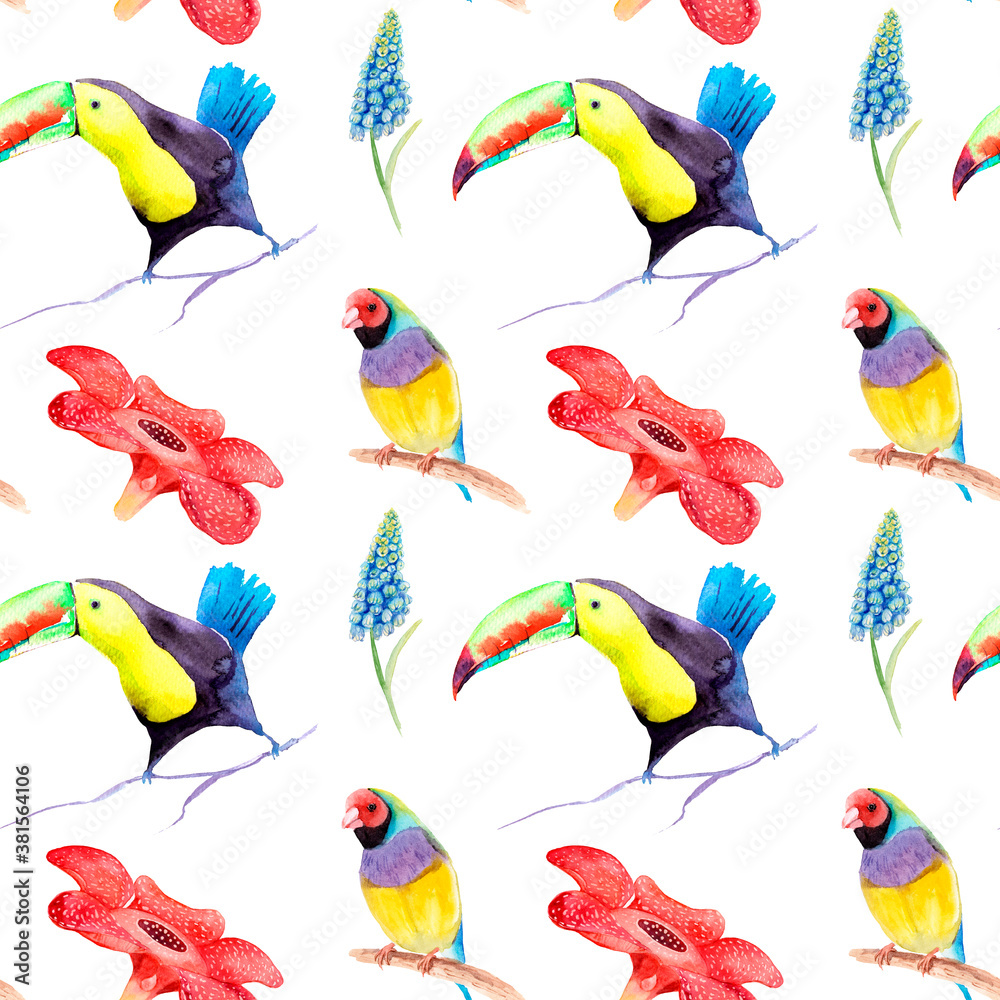 Obraz premium watercolor drawing of birds - toucan and guldova amadina, gould finch - seamless pattern