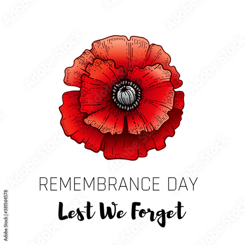 Remembrance day. Poppy with Lest we forget text. Armistice Remembrance and Anzac background. Flower illustration for world war memorial. 11th november poster. Canada, Australia banner with red poppy