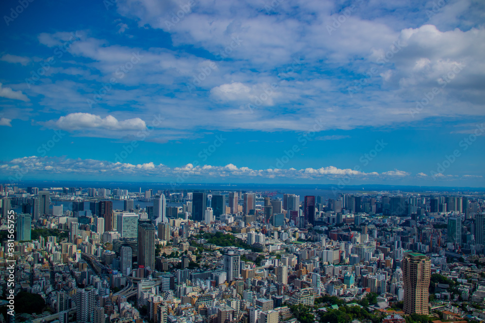 東京都心部の風景
