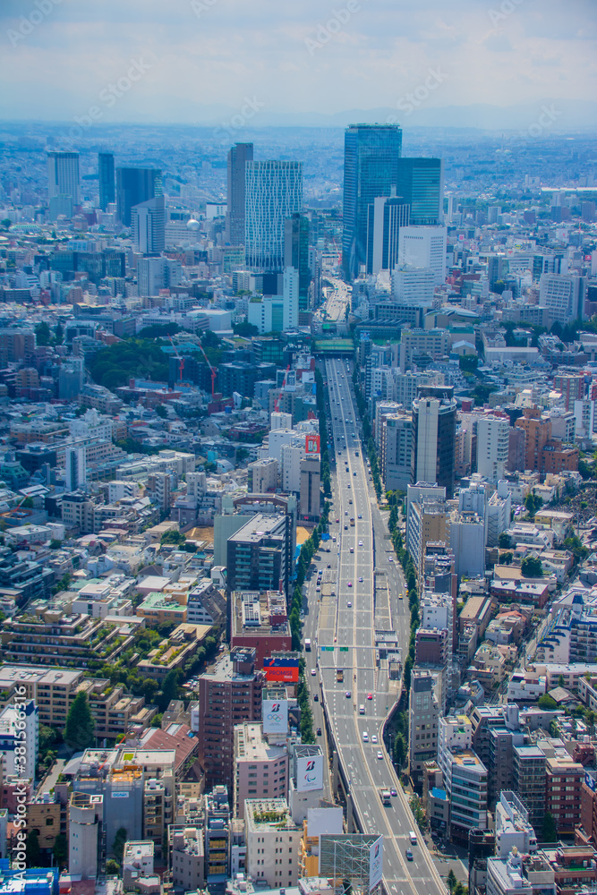 Obraz premium 東京都心部の風景 