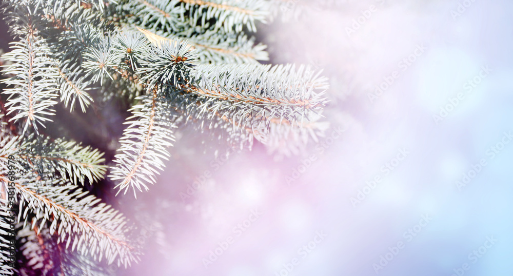 Horizontal Christmas background with branch of fir tree