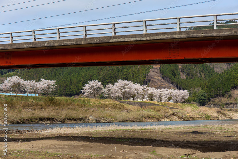 山間部の河川と赤い橋と桜 山間部の河川と赤い橋と桜