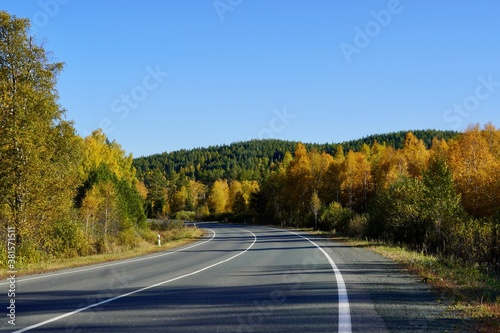 Autumnal Park. Autumn Trees and Leaves. Fall. Golden green orange leaves. Golden birch. The road going far away through the golden magic forest 