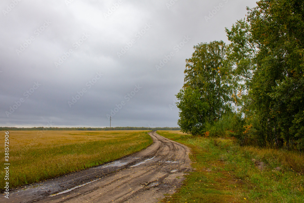The dirt road winds through the fields. Dirt road in a field of yellowed grass and trees nearby. Rural landscape The dirt road winds through the fields. Dirt road in a field of yellowed grass and trees nearby. Rural landscape