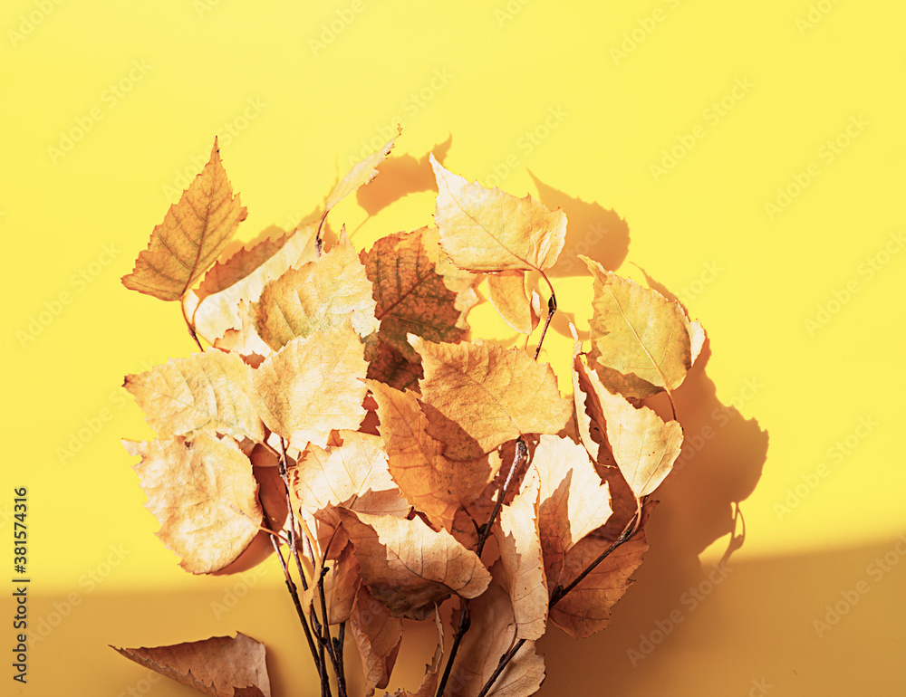 Fall leaves on yellow background. Autumn composition. Bright sunlight and trendy soft shadows. Top view.