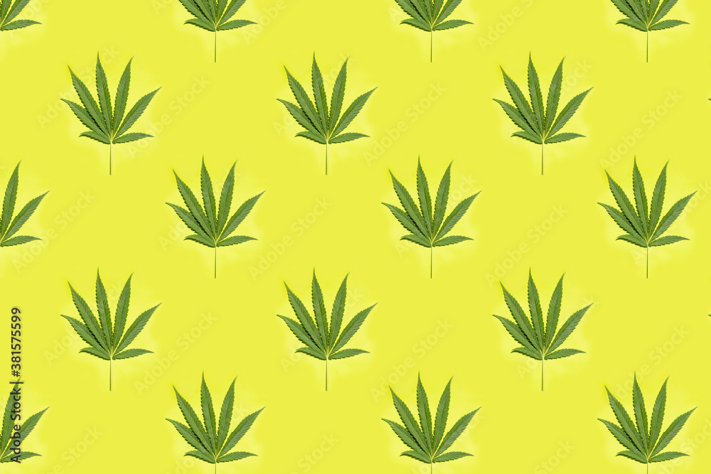 Fototapeta premium Cannabis leaves on a green background isolated seamless pattern