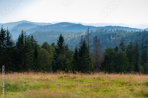 Photography Trees and mountains in the Black Forest of Germany.