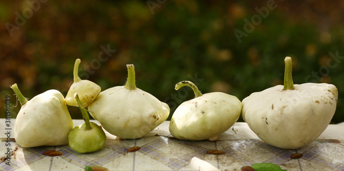 patisson bush pumpkin lay on table outdoor still life photo