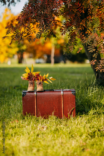 Old brown boots with leaves inside. Boots and brown vintage suitcase in autumn forest. Leather suitcase under the tree. Autumn nature, yellow and red foliage.