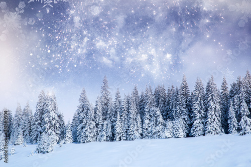 Majestic winter landscape with snowy fir trees. Winter postcard.