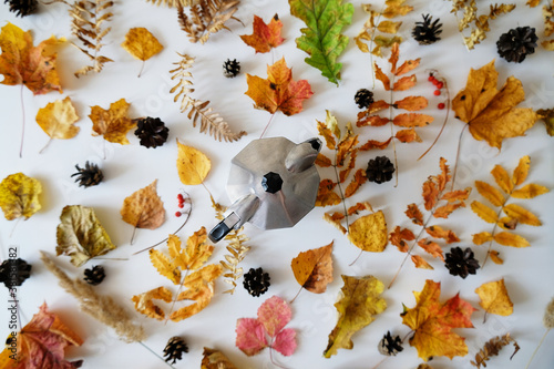 Italian espresso moka pot coffee among autumn leaves and cones, layout, top view
