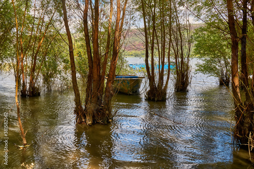 River And Old Metal Rowing Fishing Boat ancored between trees. High water. photo