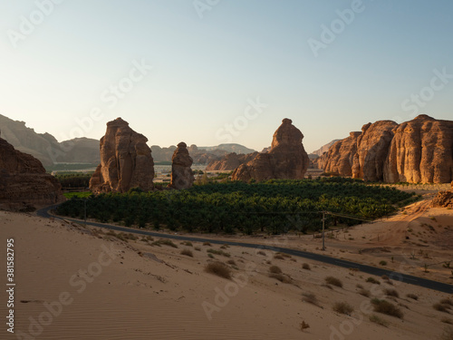Evening view of a date plantation in Al Ula, western Saudi Arabia