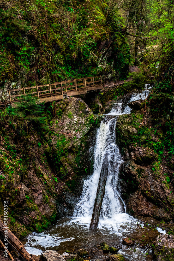 Small waterfalls in a ravine in the Black Forest, Germany Small waterfalls in a ravine in the Black Forest, Germany