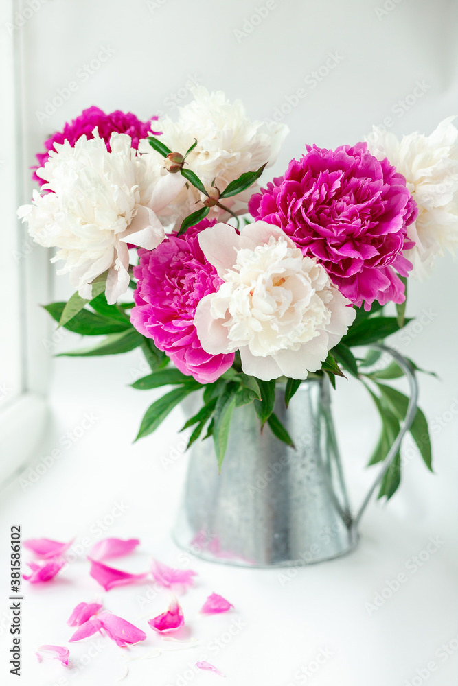 Bouquet of beautiful peonies on the windowsill. Pink and white peonies in a tin jug. Flying pink petals. Soft focus