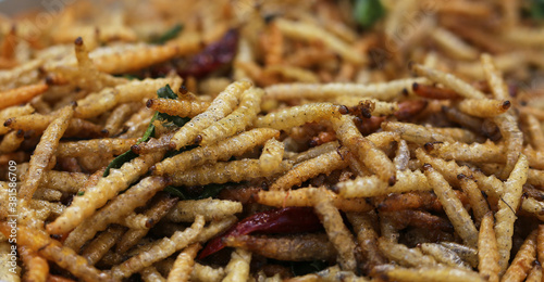 Bamboo worm fried, fried insects are a high protein foods.