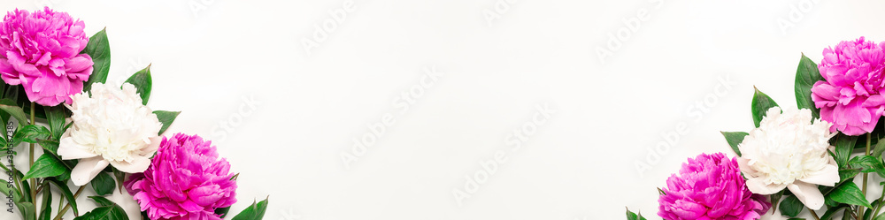Flower banner. Pink and white peonies on white background. Top view, copy space Flower banner. Pink and white peonies on white background. Top view, copy space