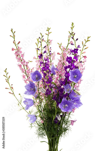 bouquet of meadow flowers isolated