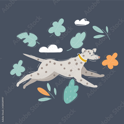 Vector illustration of running dalmatian on dark background.