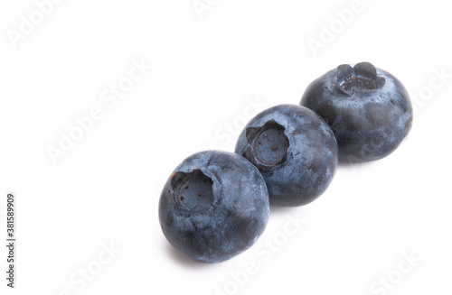 blueberry berries isolated