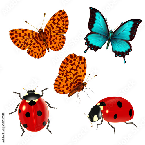 Insects set of butterflies and ladybugs.