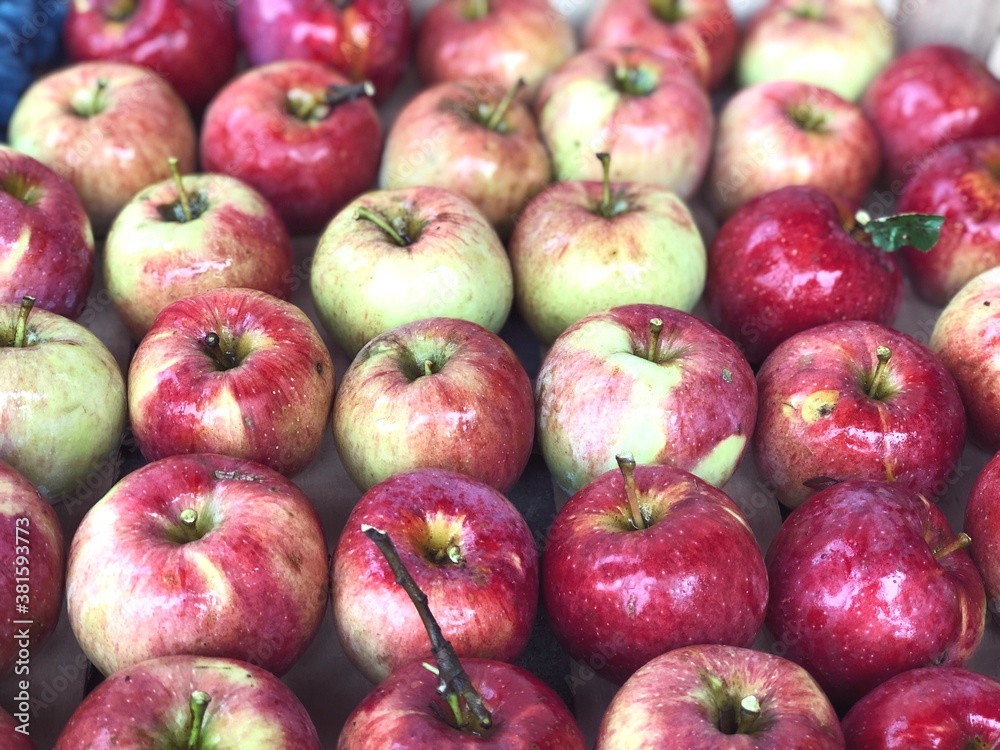 red apples harvest close up red apples harvest close up