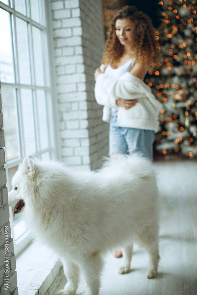Beautiful woman in Christmas at home, festive decor. High quality photo. Beautiful woman in Christmas at home, festive decor. High quality photo.