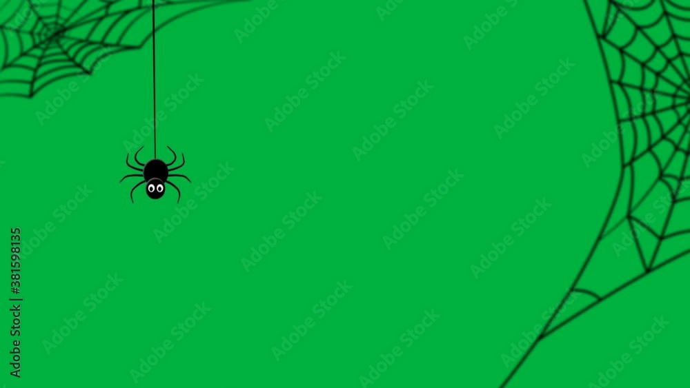 Spider and web for green screen, animated silhouette, seamless loop