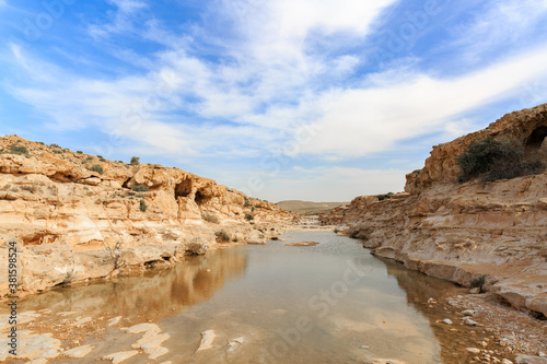 Creek in Negev desert