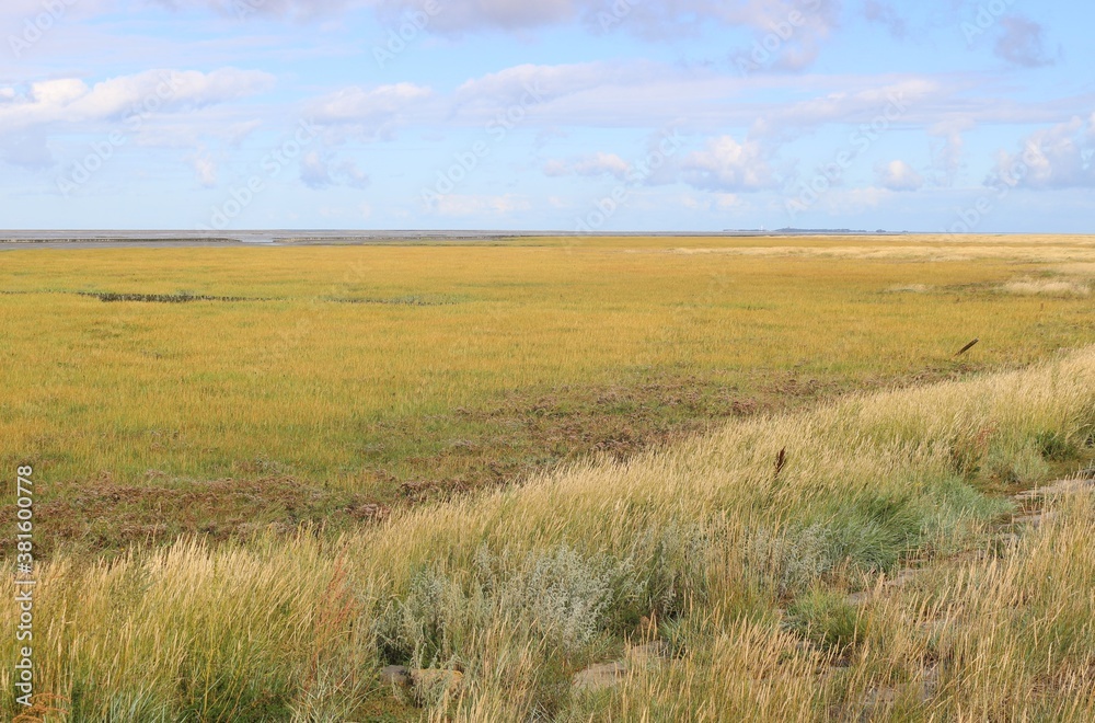 Obraz premium Vast landscape by the North Sea. In Spieka-Neufeld near Cuxhaven, Germany, Europe.