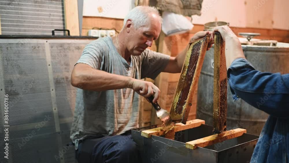 Uncovering the honeycombs with the scraper by hand, honey harvest. Uncovering the honeycombs with the scraper by hand, honey harvest.