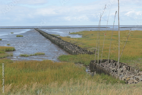 Wide landscape by the North Sea. In Spieka-Neufeld near Cuxhaven, Germany, Europe. photo