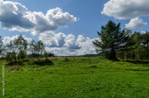 Fototapeta Naklejka Na Ścianę i Meble -  Bieszczady panorama