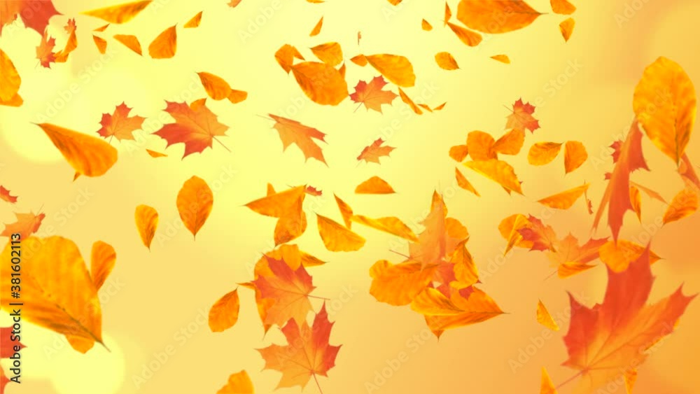 Abstract Colorful maple autumn leaves leaves autumnal Loop background Alpha with sun flares. Romantic Beautiful nature scene animation. season, spinning, thanksgiving, Wedding, valentines day. Abstract Colorful maple autumn leaves leaves autumnal Loop background Alpha with sun flares. Romantic Beautiful nature scene animation. season, spinning, thanksgiving, Wedding, valentines day.