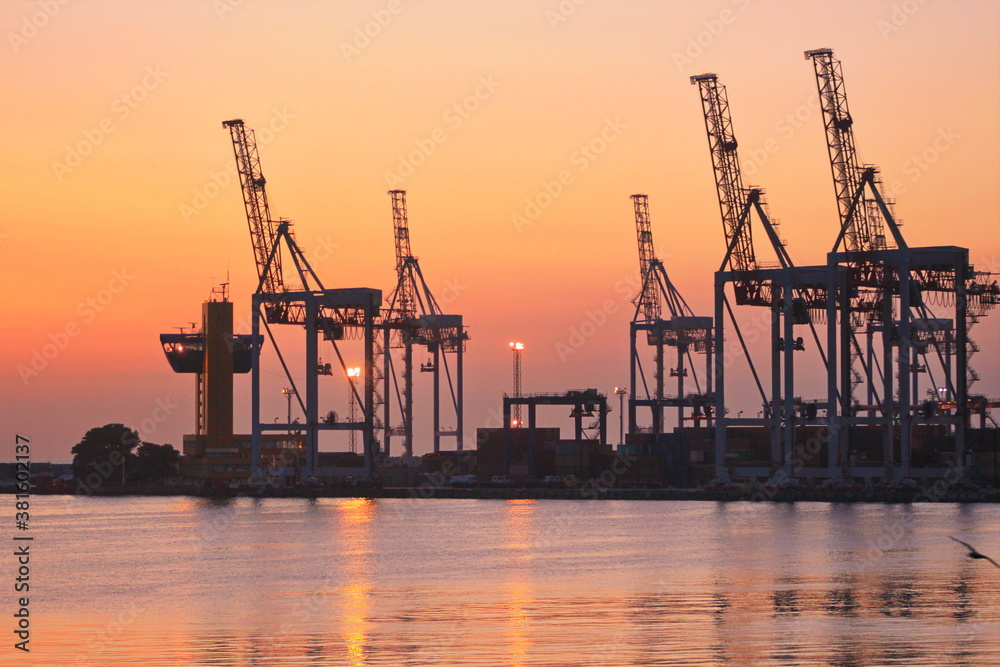 cranes in the port at dawn