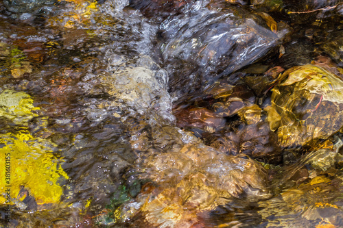 Water runs over colored stones. Yellow autumn leaves of trees are visible under the water. Texture of a river running over rocks.