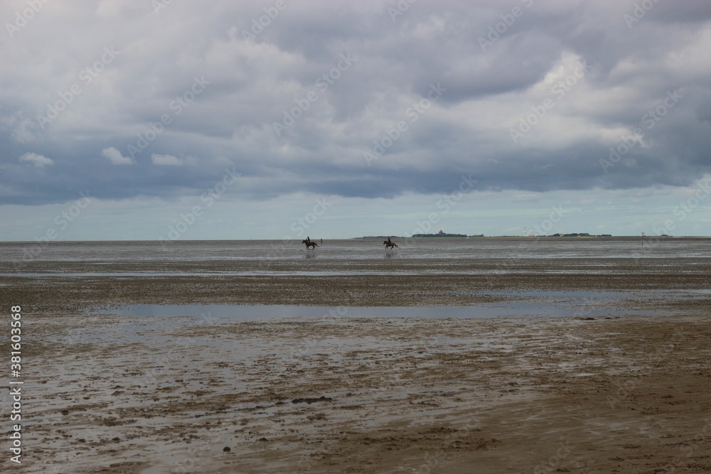 The North Sea during low tide in Cuxhaven-Salenburg. Horse riders on the  mud flats. North Germany, Europe. Stock Photo | Adobe Stock