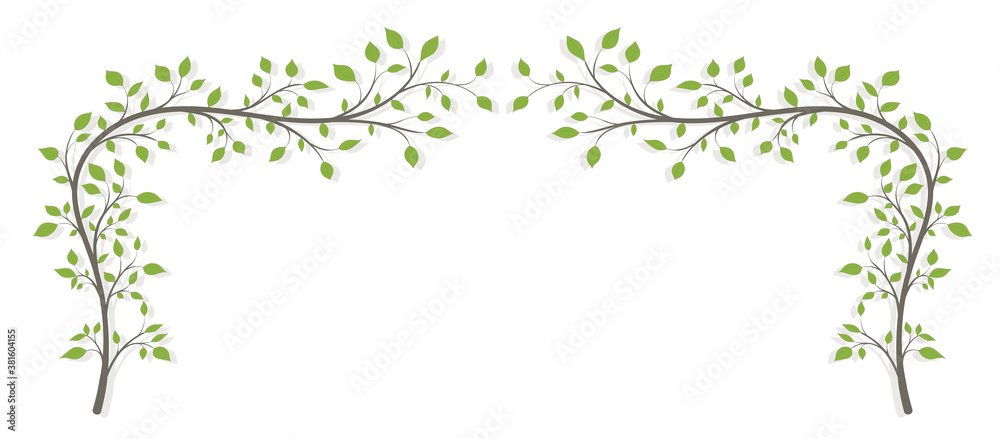 Naklejka premium Two tree branches in the shape of an arch with green leaves and a shadow on a white background