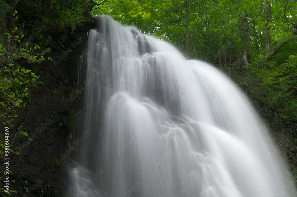 Obraz premium 小野川不動滝