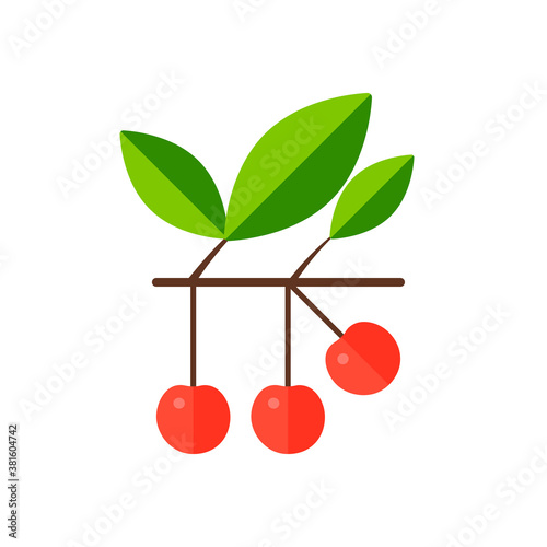 Simple flat icon cherry on stalk. Macro element fresh and healfy nature berry.