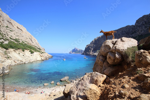 Cala Boquer photo