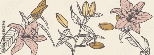 Luxury white and pink Lilly flower background vector with golden metallic decorate in leaf 