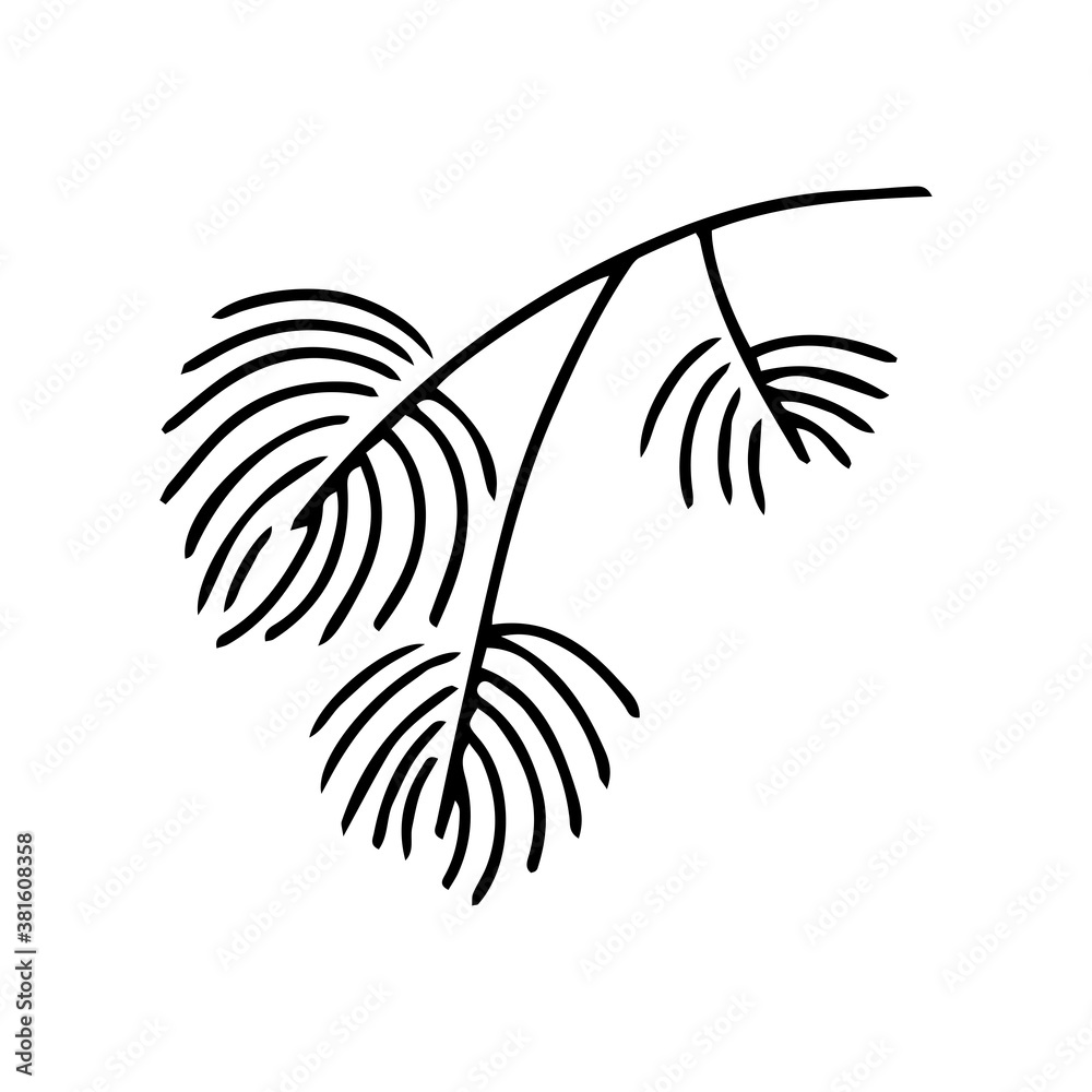 Hand drawn doodle of fir tree branch isolated on white background. Conifer sketch. Vector illustration. Design for print, banner, greeting card, logo, invitation